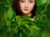【右视觉摄影】绿色精灵