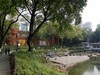 公园春景