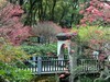 公园春景