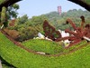 锡惠公园菊展