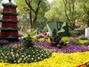 锡惠公园菊展