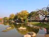 橘州公园--2