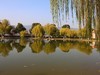橘州公园--2