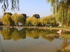 橘州公园--2