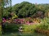 锡惠公园菊展