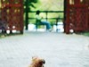 佛坪休闲游（请假）