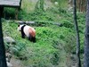佛坪休闲游（请假）