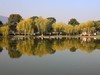 橘州公园--2