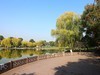 橘州公园--2