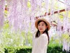 相约在紫藤下