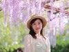 相约在紫藤下