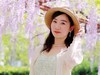 相约在紫藤下