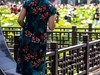 荷塘悦色（5）