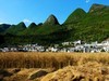 麦收季节