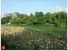 福建福州------金山公园风景(下)