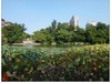 福建福州------金山公园风景(下)