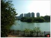 福建福州------金山公园风景(下)