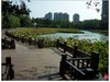福建福州------金山公园风景(下)