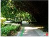 福建福州------金山公园风景(下)