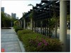 福建福州------金山公园风景(下)