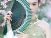 夹竹桃