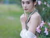 夹竹桃