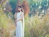 秋意浓