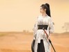 戈壁武侠