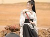 戈壁武侠