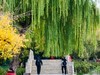 外出随拍（403）.