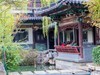 外出随拍（403）.