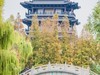 外出随拍（403）.