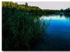野湖黄昏
