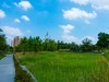 钱塘生态公园随拍————2023年国庆节快乐！