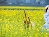 春暖花开