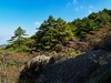 2025年第0386贴-黄山风光纪实拍（0606）