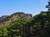 2025年第0387贴-黄山风光纪实拍（0606）