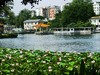 荔湾湖公园（二）