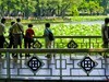 荔湾湖公园（二）