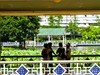 荔湾湖公园（二）
