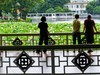 荔湾湖公园（二）