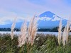 忍野八海与富士山