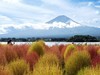 忍野八海与富士山