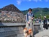 忍野八海与富士山
