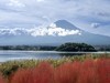 忍野八海与富士山
