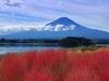 忍野八海与富士山