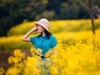 油菜花人像