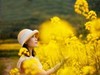 油菜花人像