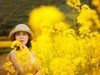 油菜花人像