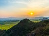 午后油菜花海（二）